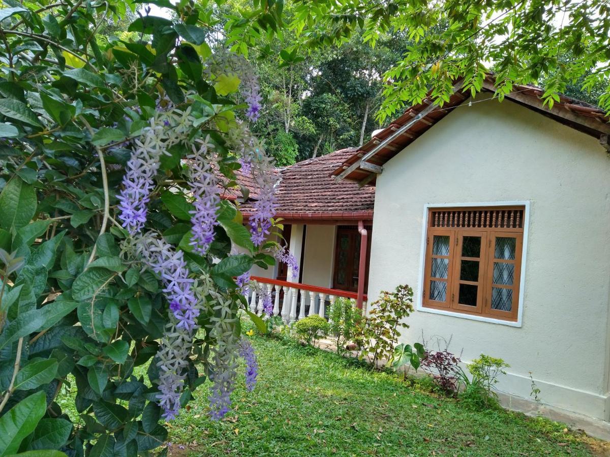The Pepper Cottage Gomagoda エクステリア 写真