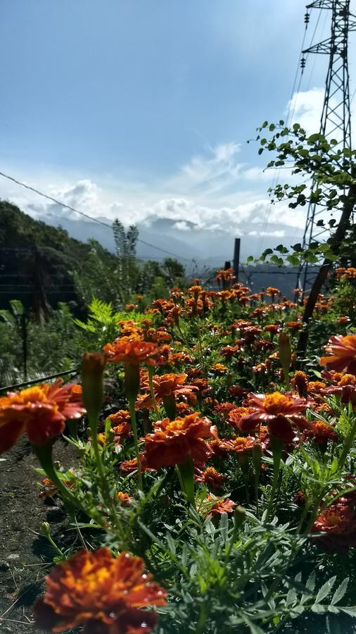 The Pepper Cottage Gomagoda エクステリア 写真